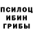 Галлюциногенные грибы MAGIC MUSHROOMS Noona Laloona
