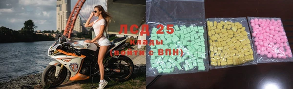 прущие грибы Вязьма