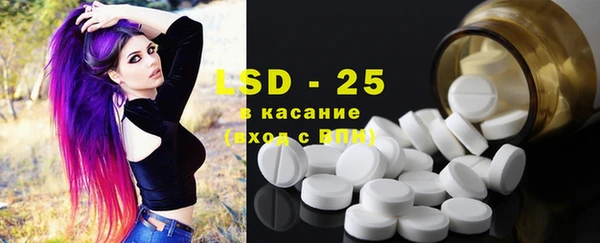 прущие грибы Вязьма