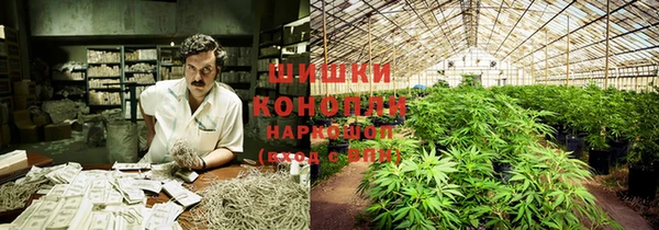 MESCALINE Вяземский