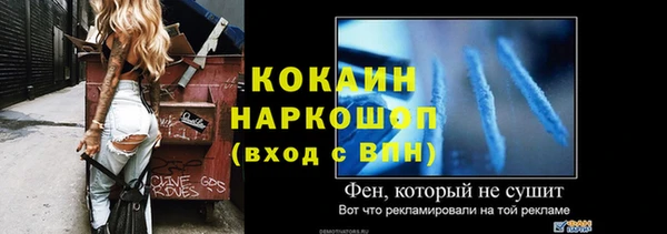 прущие грибы Вязьма