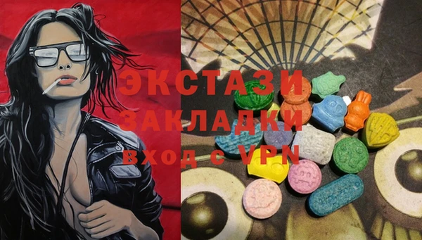 прущие грибы Вязьма