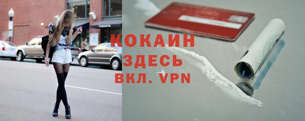 прущие грибы Вязьма