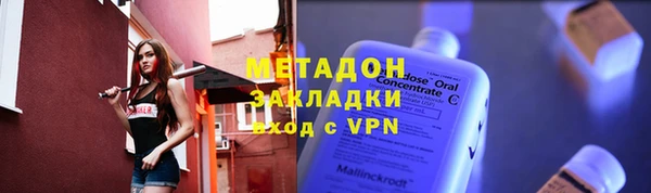 прущие грибы Вязьма