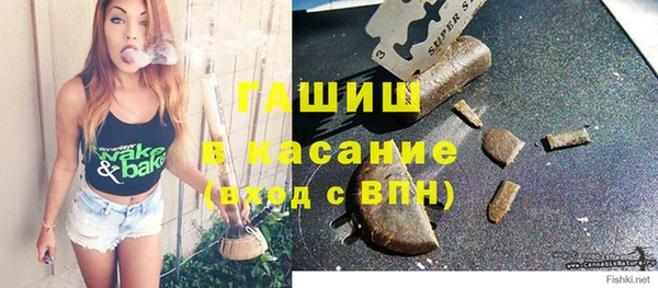 прущие грибы Вязьма