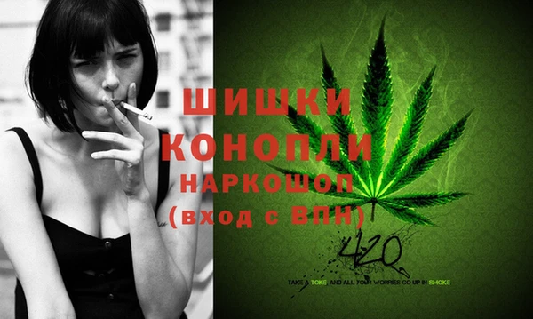 прущие грибы Вязьма