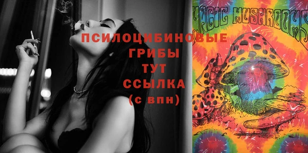 прущие грибы Вязьма