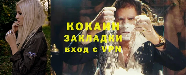 прущие грибы Вязьма