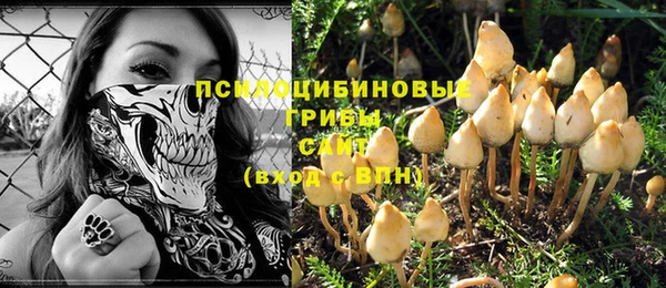 MESCALINE Вяземский